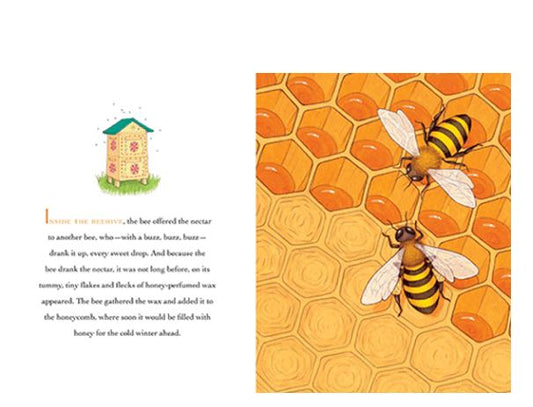 In the Candle’s Glow