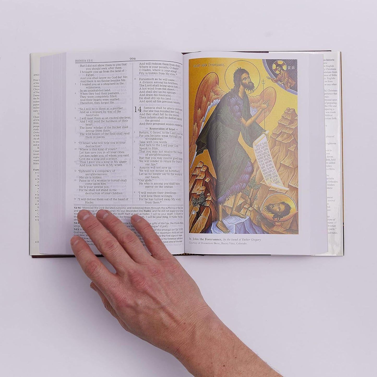 The Orthodox Study Bible, Thomas Nelson Publishing, Hardcover: Ancient Christianity Speaks to Today’s World (Copy)