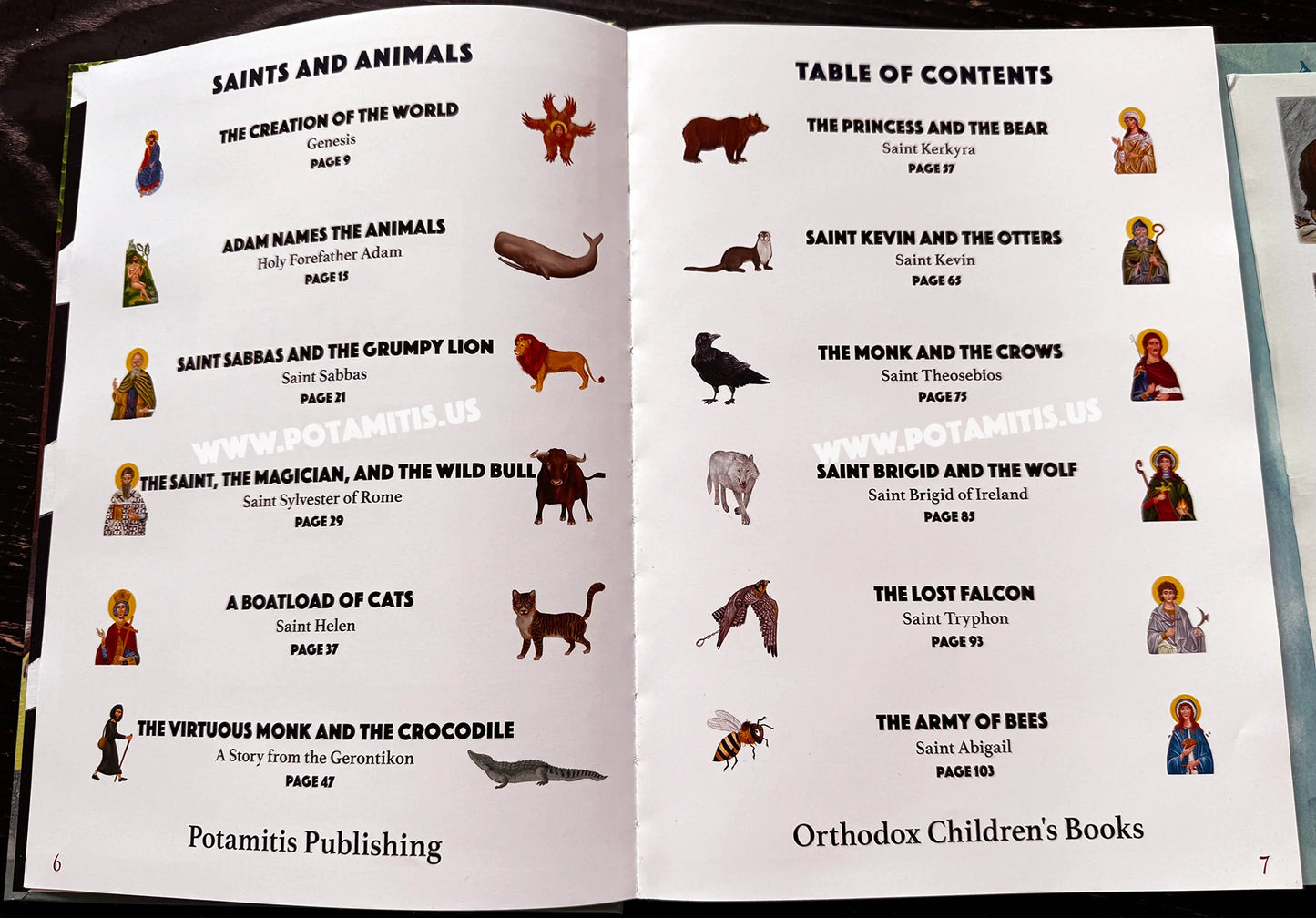 Saints and Animals - Hardcover